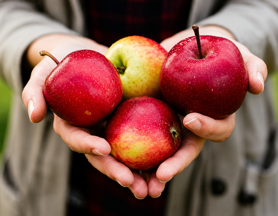 Phytotherasome Apple
